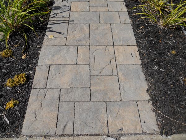 Stamped Concrete Staining in Woodinville
